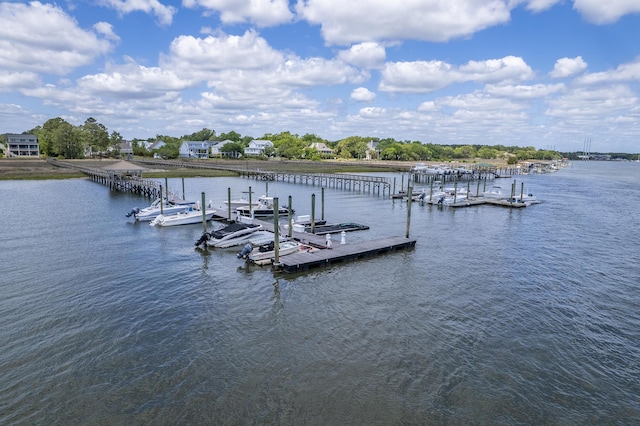 dock area with a water view