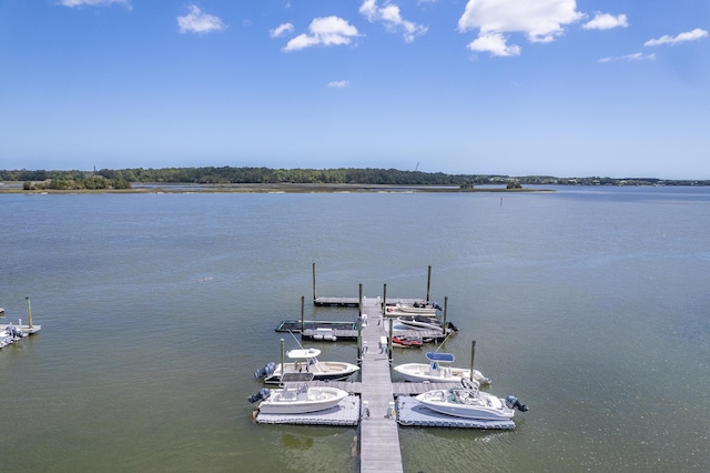 dock area featuring a water view