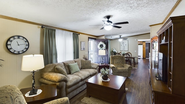 living room featuring crown molding, dark hardwood / wood-style flooring, and a textured ceiling
