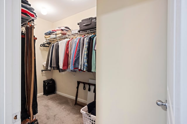 walk in closet featuring light colored carpet