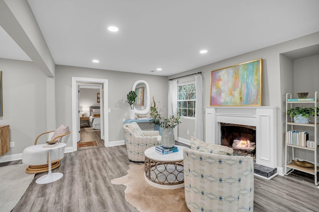 living room featuring light wood-type flooring