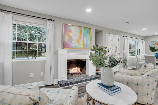 living room with wood-type flooring