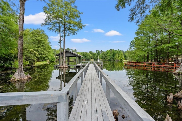 dock area with a water view