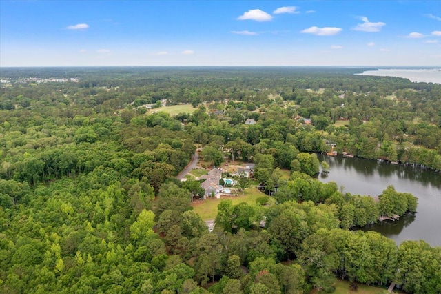 aerial view of a forest and a large body of water