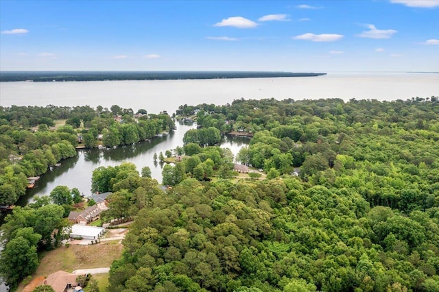 aerial view of a nearby body of water and a forest