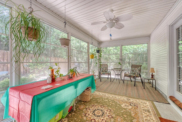 9117 Woodcreek Ct, North Charleston, SC 29406 - sunroom with ceiling fan