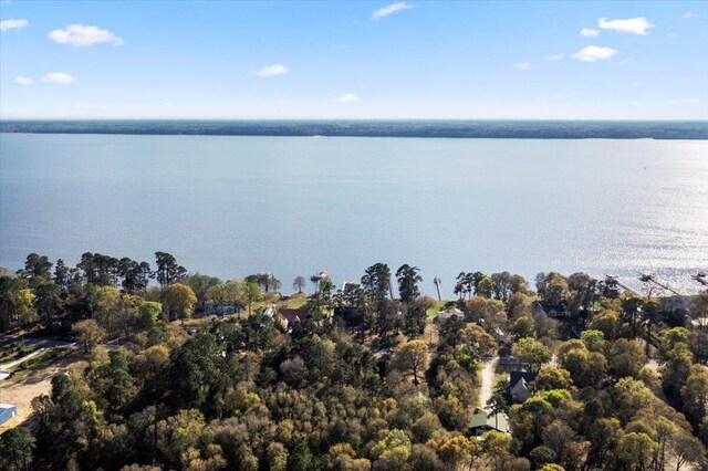 3550 Princess Pond Rd, Summerton, SC 29148 - view of property location with a large body of water