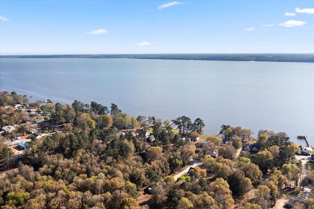 3550 Princess Pond Rd, Summerton, SC 29148 - aerial view of a large body of water