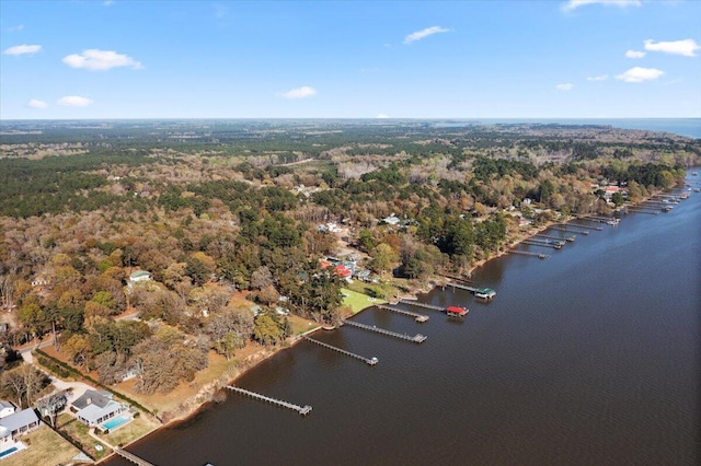 3550 Princess Pond Rd, Summerton, SC 29148 - view of property location with a large body of water and a forest