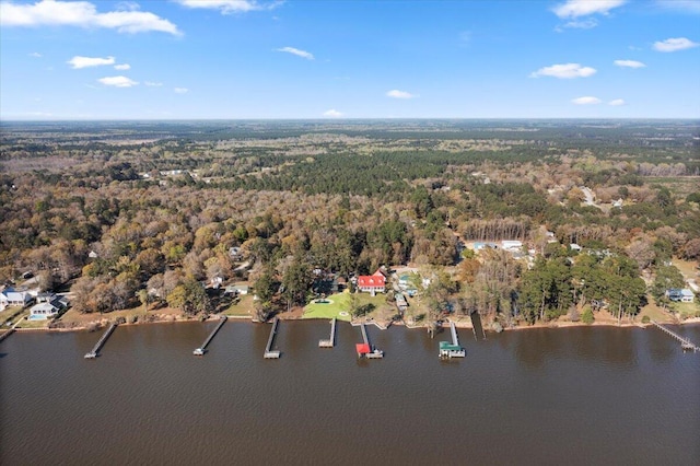 3550 Princess Pond Rd, Summerton, SC 29148 - aerial view of property's location featuring a forest and a nearby body of water