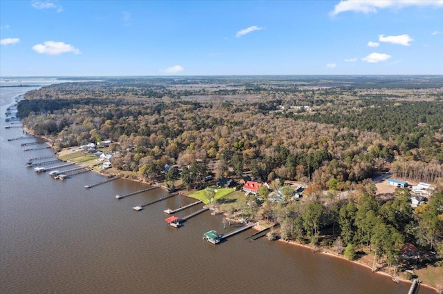 3550 Princess Pond Rd, Summerton, SC 29148 - aerial overview of property's location with a large body of water and a heavily wooded area