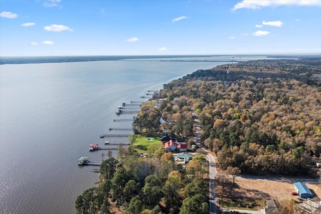 3550 Princess Pond Rd, Summerton, SC 29148 - aerial view of property's location with a nearby body of water and a heavily wooded area