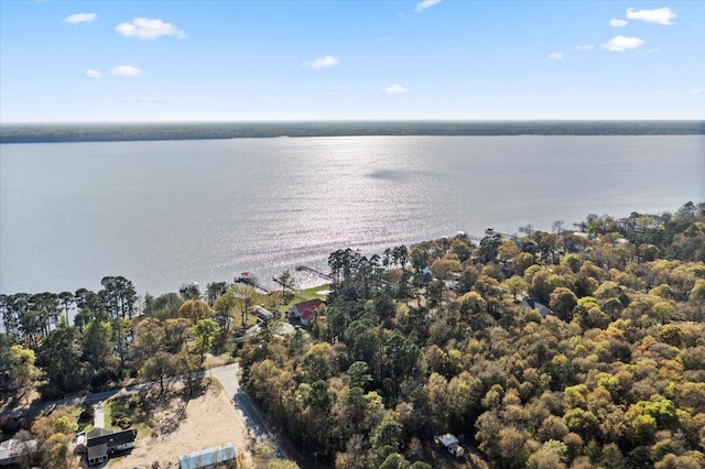 3550 Princess Pond Rd, Summerton, SC 29148 - aerial view of a nearby body of water