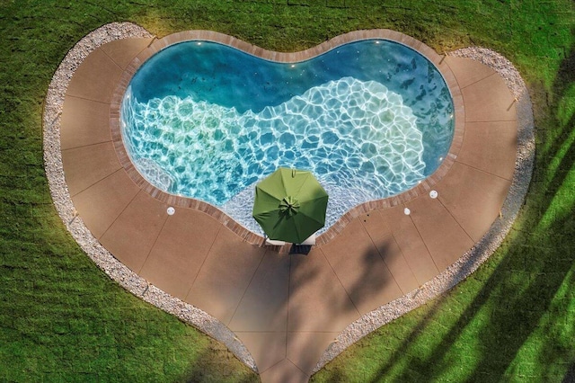 3550 Princess Pond Rd, Summerton, SC 29148 - view of pool