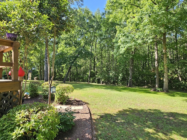 view of grassy yard