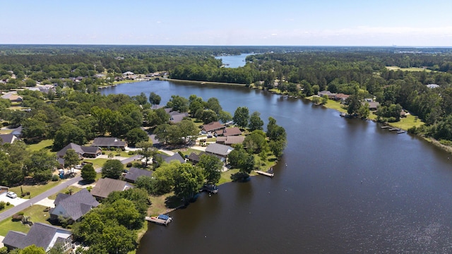aerial perspective of suburban area featuring a large body of water and a forest