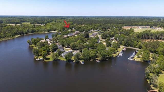 bird's eye view of a forest and a large body of water