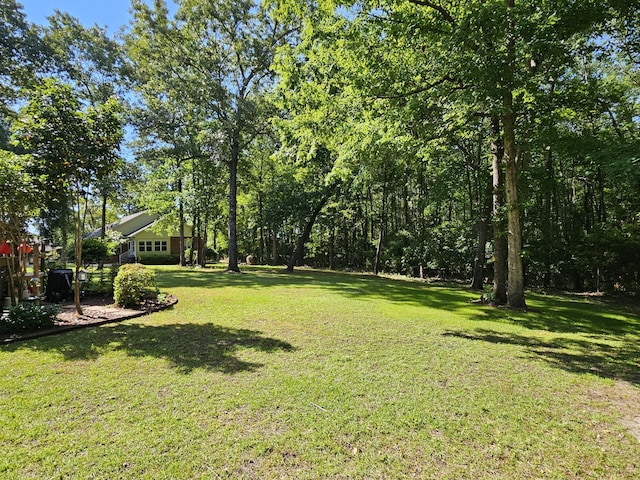view of green lawn