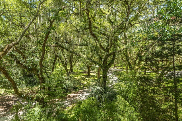 view of local wilderness