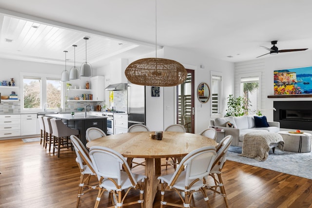 dining space featuring dark hardwood / wood-style floors, sink, and ceiling fan