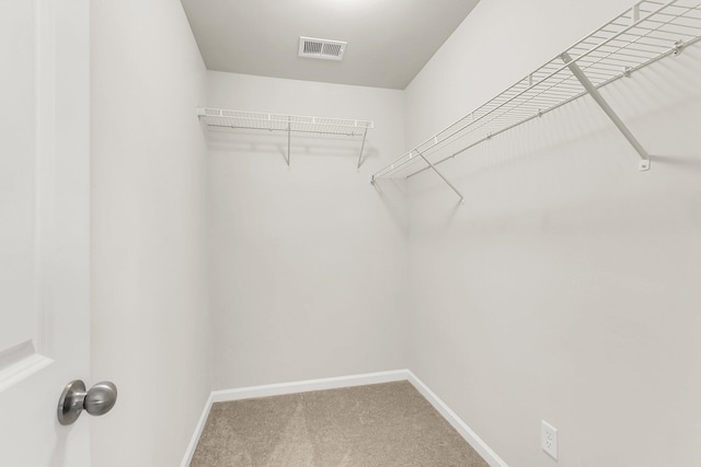 spacious closet featuring carpet flooring