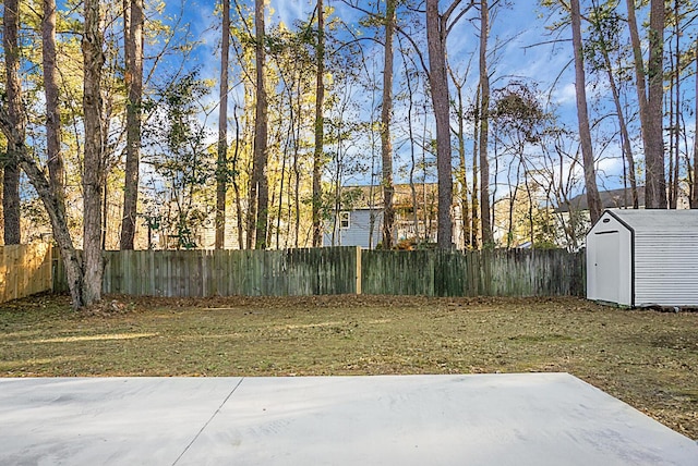 view of yard with a storage unit and a patio area