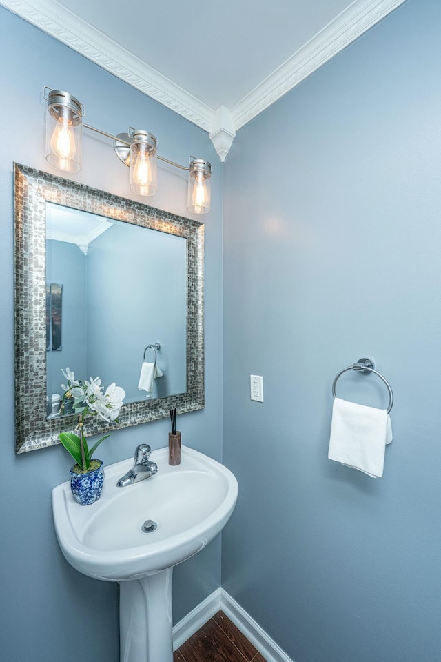 bathroom with wood finished floors, baseboards, ornamental molding, and a sink