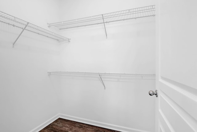 walk in closet featuring dark hardwood / wood-style flooring