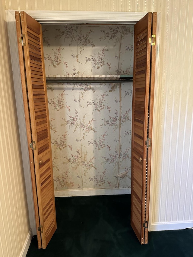 7819 Bells Hwy, Ruffin, SC 29475 - view of closet