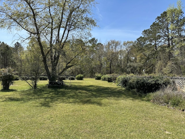 7819 Bells Hwy, Ruffin, SC 29475 - view of yard featuring a forest view