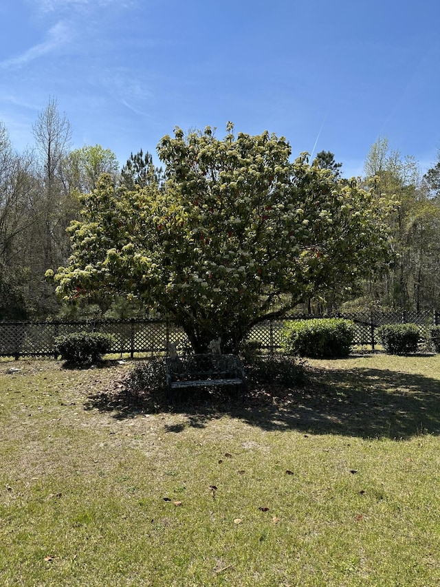 7819 Bells Hwy, Ruffin, SC 29475 - view of yard with fence