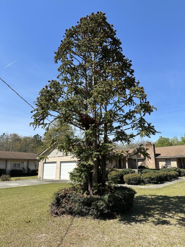 7819 Bells Hwy, Ruffin, SC 29475 - view of front facade featuring driveway and a front lawn