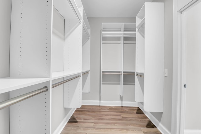 spacious closet with light wood-type flooring