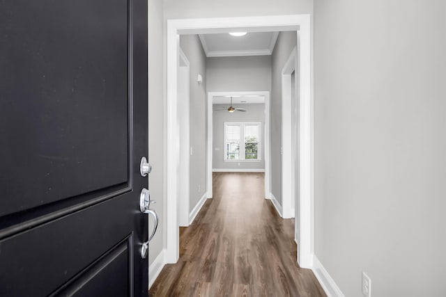 corridor with crown molding and hardwood / wood-style flooring