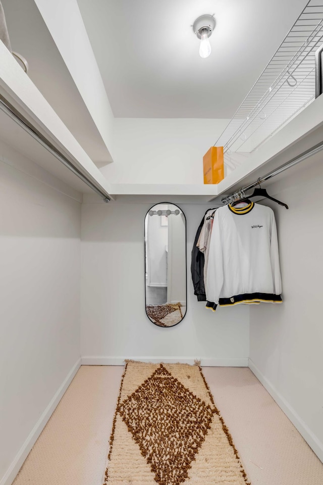 walk in closet featuring carpet floors