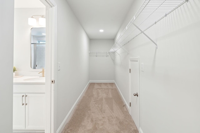 770 Opal Wing St, Moncks Corner, SC 29461 - walk in closet featuring a sink and light carpet