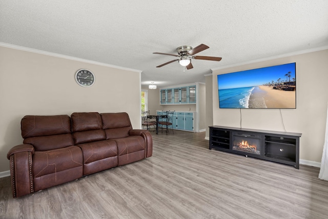 407 Raysor St, Saint George, SC 29477 - living area featuring a ceiling fan, crown molding, wood finished floors, a textured ceiling, and baseboards