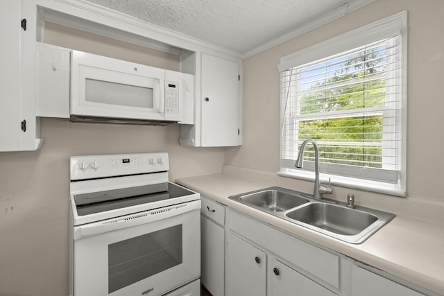 407 Raysor St, Saint George, SC 29477 - kitchen featuring white appliances, a sink, a textured ceiling, light countertops, and white cabinets