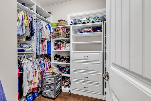 1033 Tuckers Rd, Pawleys Island, SC 29585 - walk in closet with dark wood-type flooring