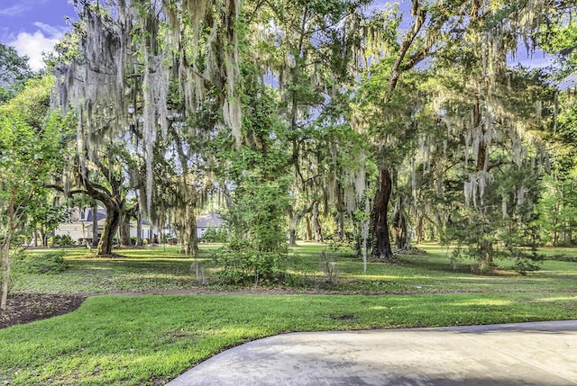 1033 Tuckers Rd, Pawleys Island, SC 29585 - view of home's community with a yard