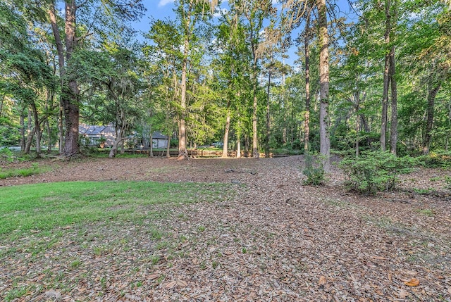 1033 Tuckers Rd, Pawleys Island, SC 29585 - view of yard