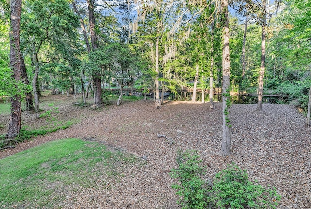 1033 Tuckers Rd, Pawleys Island, SC 29585 - view of yard