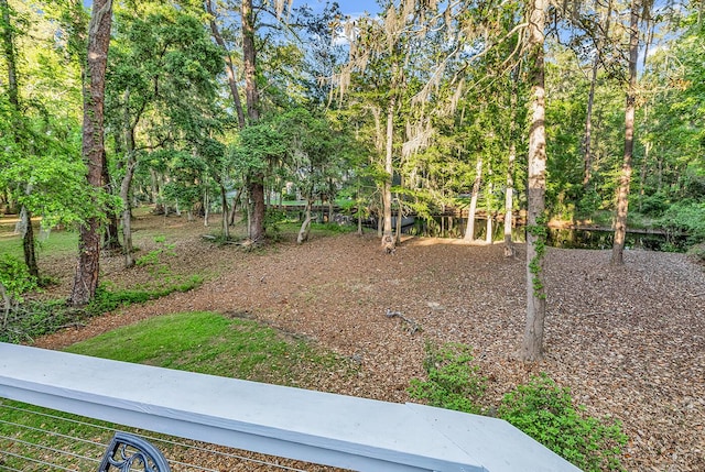1033 Tuckers Rd, Pawleys Island, SC 29585 - view of yard