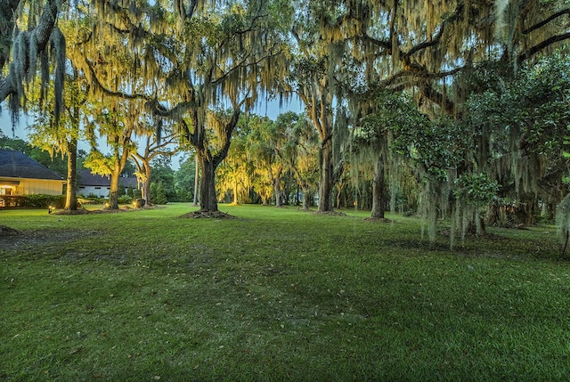 1033 Tuckers Rd, Pawleys Island, SC 29585 - view of yard