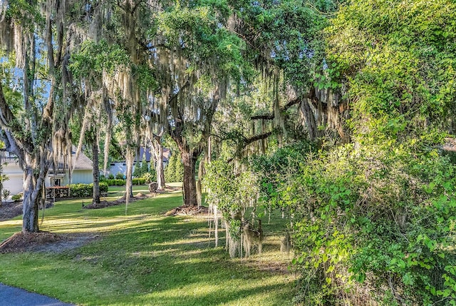 1033 Tuckers Rd, Pawleys Island, SC 29585 - view of property's community featuring a yard