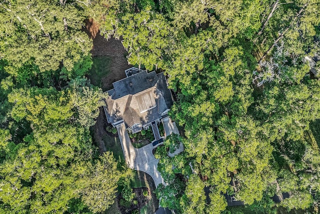 1033 Tuckers Rd, Pawleys Island, SC 29585 - birds eye view of property