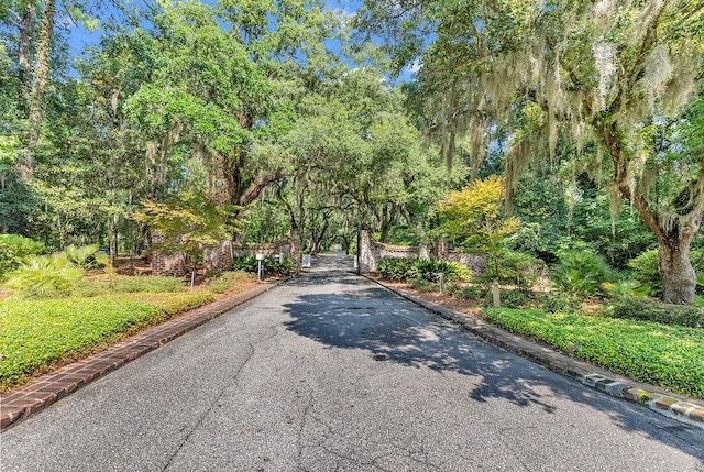 1033 Tuckers Rd, Pawleys Island, SC 29585 - view of street featuring curbs