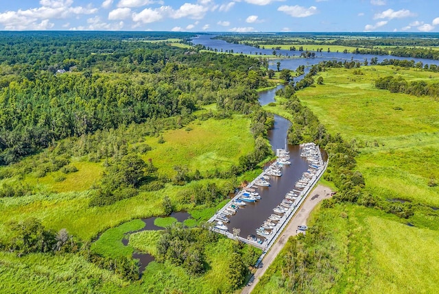1033 Tuckers Rd, Pawleys Island, SC 29585 - bird's eye view with a water view and a wooded view