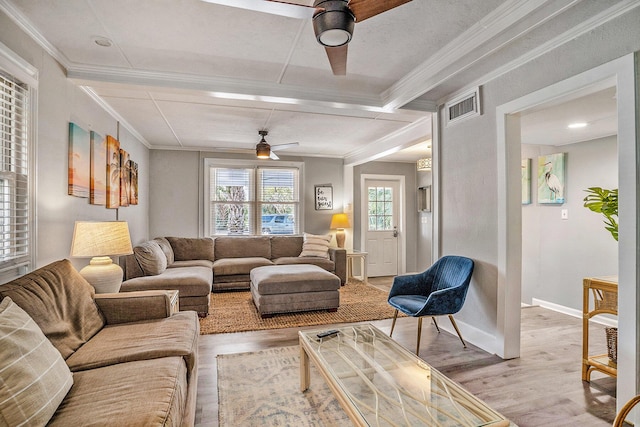 504 W Ashley Ave, Folly Beach, SC 29439 - living room with ceiling fan, light wood finished floors, and crown molding