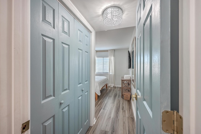 bathroom with hardwood / wood-style flooring